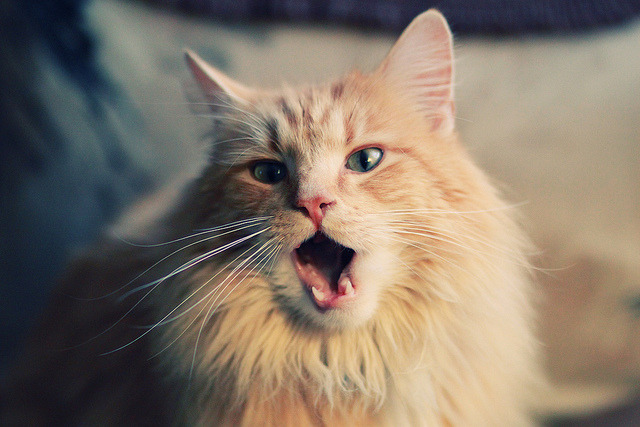 “法甲冠军悬念愈发浓厚,豪门鏖战不断”,法甲 经典比赛