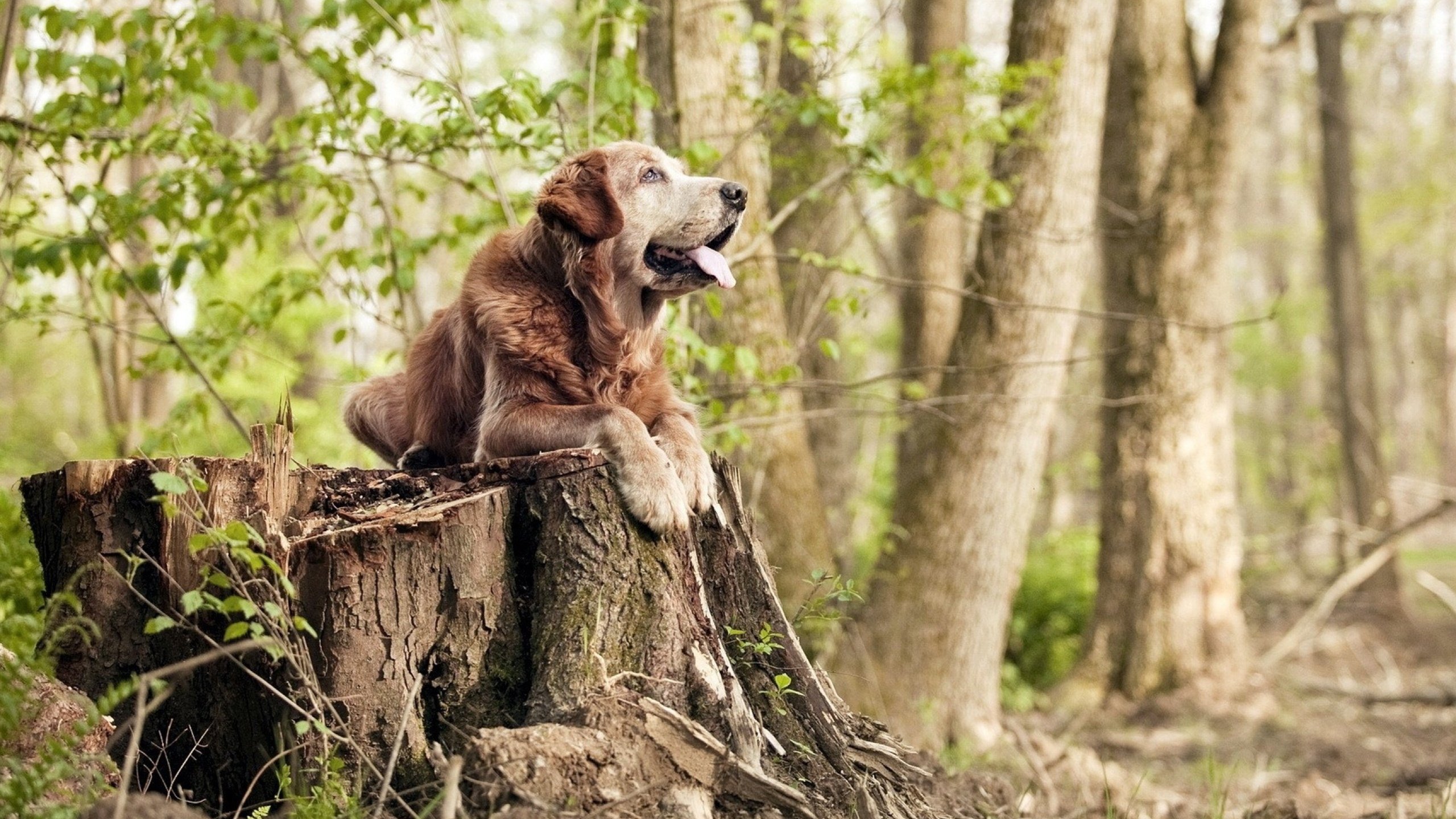 “青训营地配备专业心理辅导,关注少年身心健康”,青训营介绍