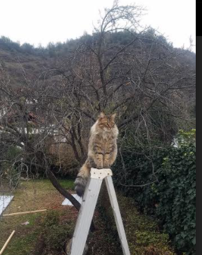 对阵展望:比赛中最值得关注的战术调整,对阵是什么意思啊