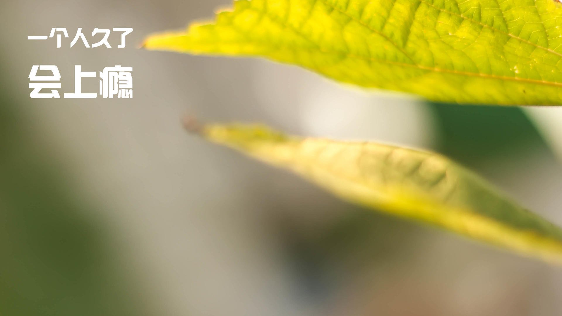 九游娱乐官网 (JIUYOU)-曼联因财务问题面临8000万英镑缺口，曼联财政