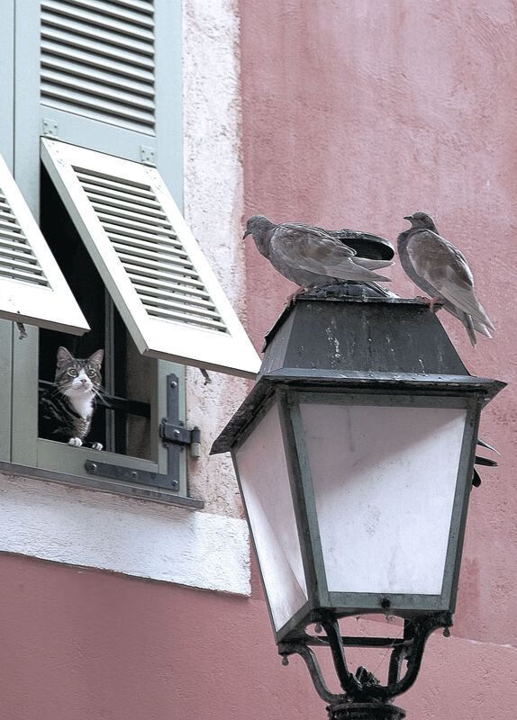 特色天空绳索攀爬，勇者在悬崖间飞跃