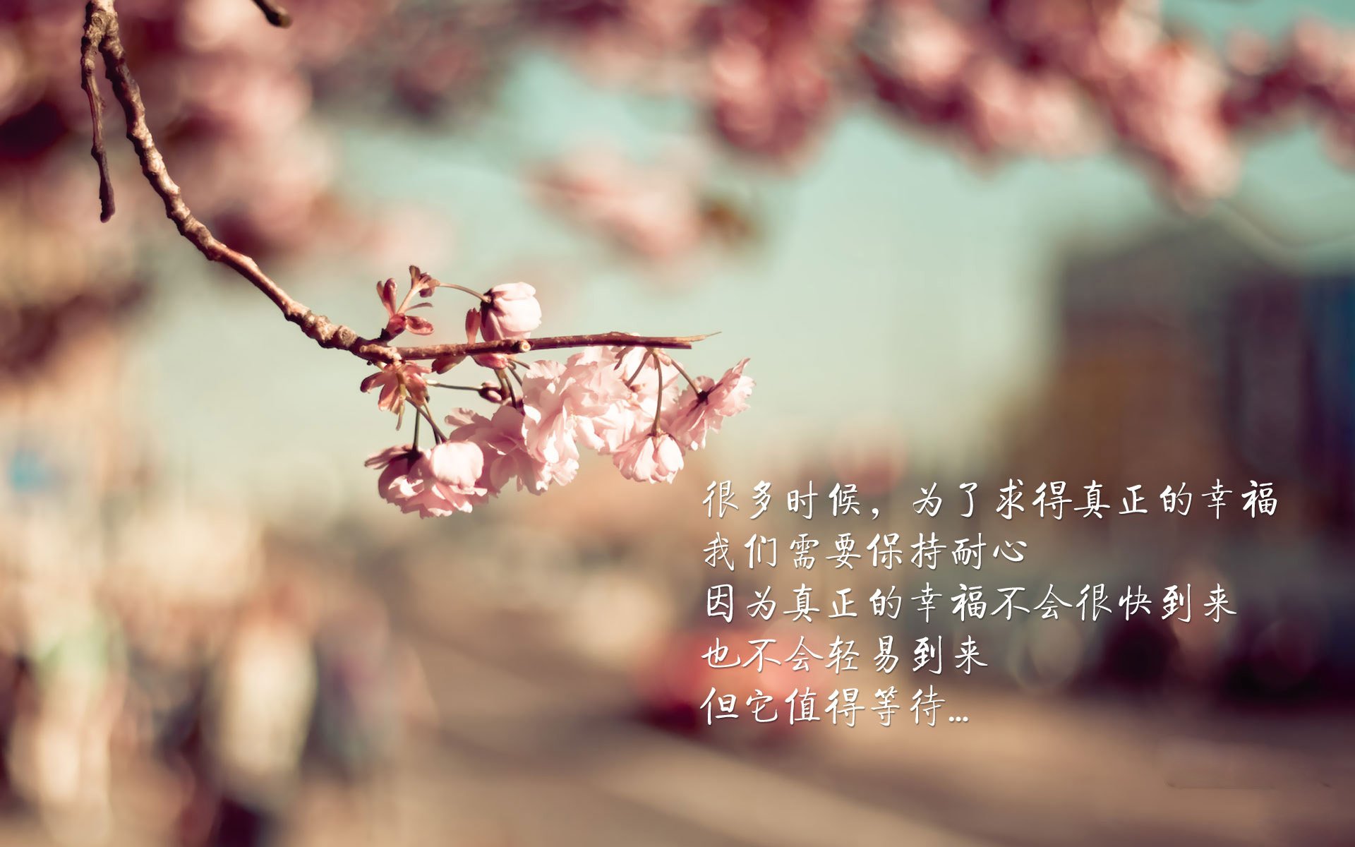 球迷投票：对联盟未来发展你有哪些建议？，对联盟的意见建议