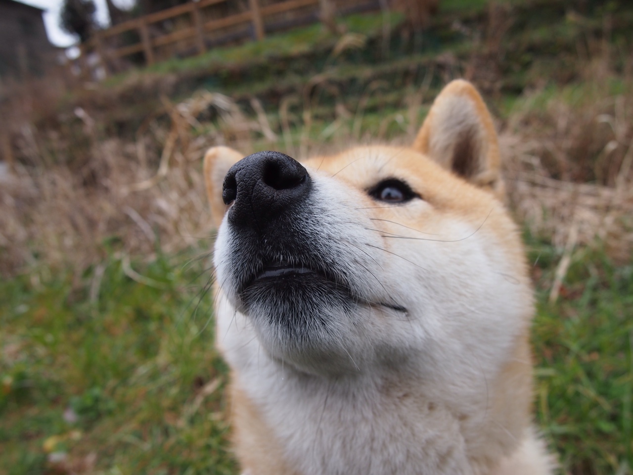 腾讯电竞赛事平台整合多项资源,腾讯电竞 项目发布