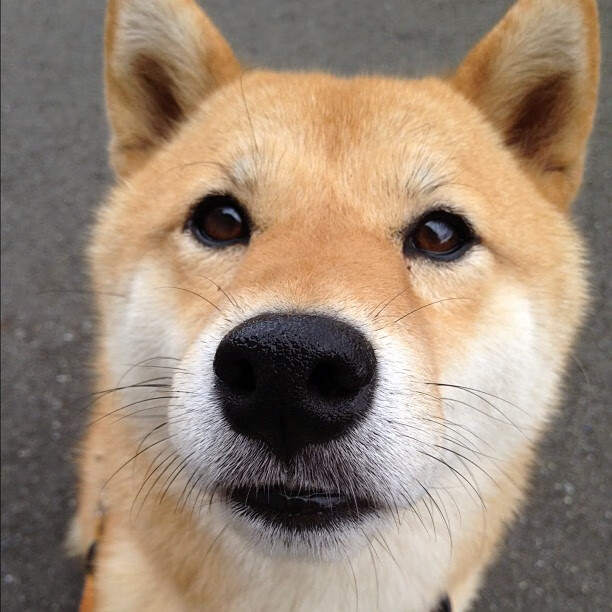 中国篮球教练员团队协作效率提升方法，中国篮协篮球教练员培训班