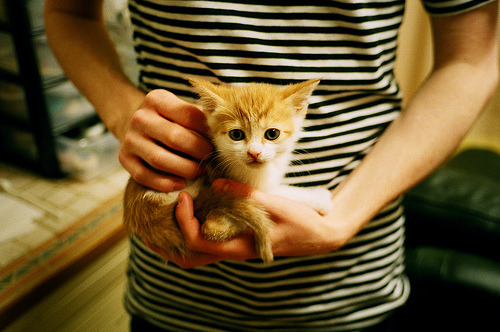 青训秘密：幸存者偏差理念背后的逻辑，幸存者偏差是一种常见的逻辑谬误