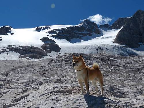 “快艇冲浪:马鞍山赛场突破极限,速度与技巧并肩作战”