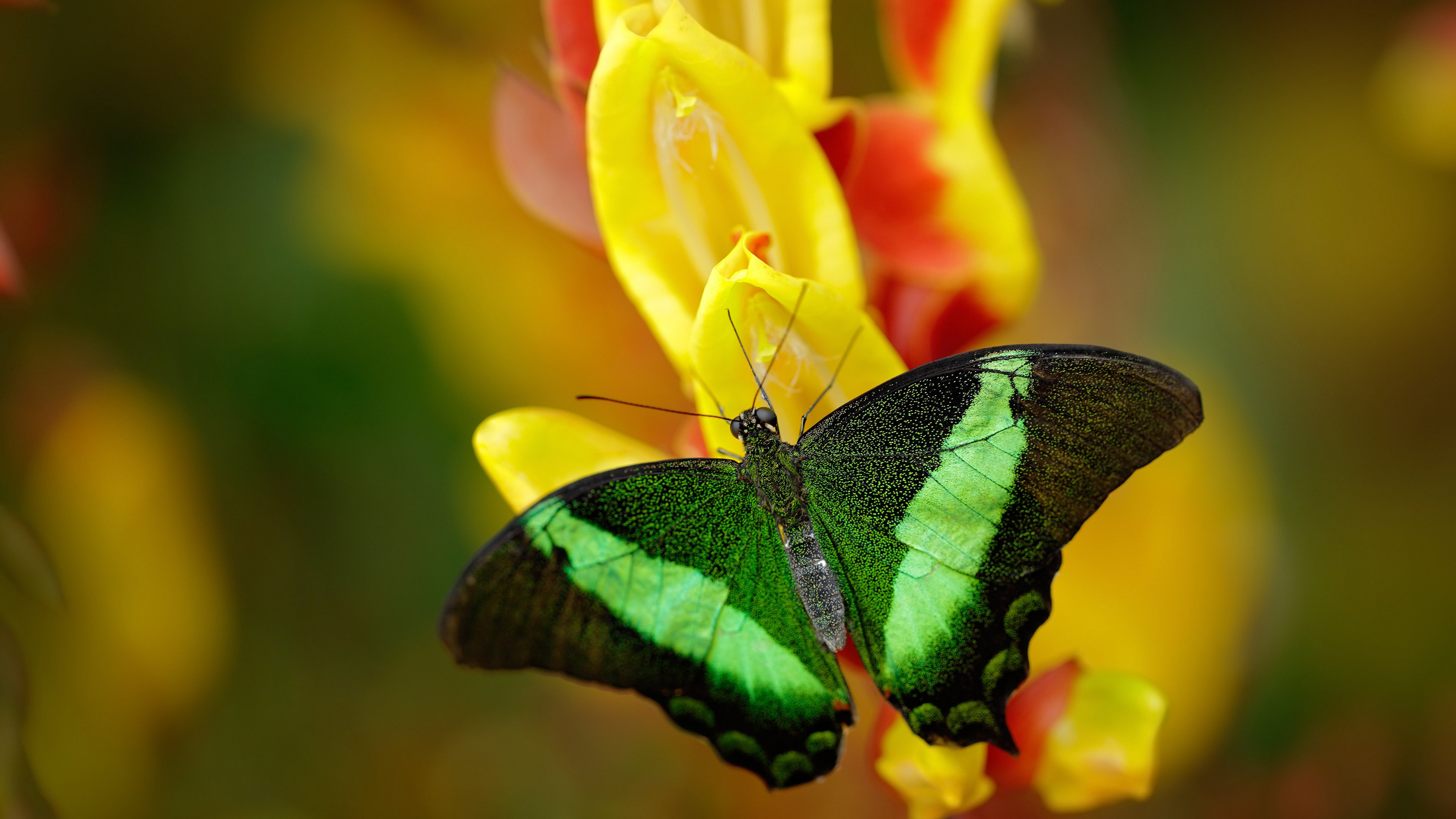 九游登录入口-世界杯预选赛国足爆冷 球迷热议不断升级，世界杯预选赛国足出线形势