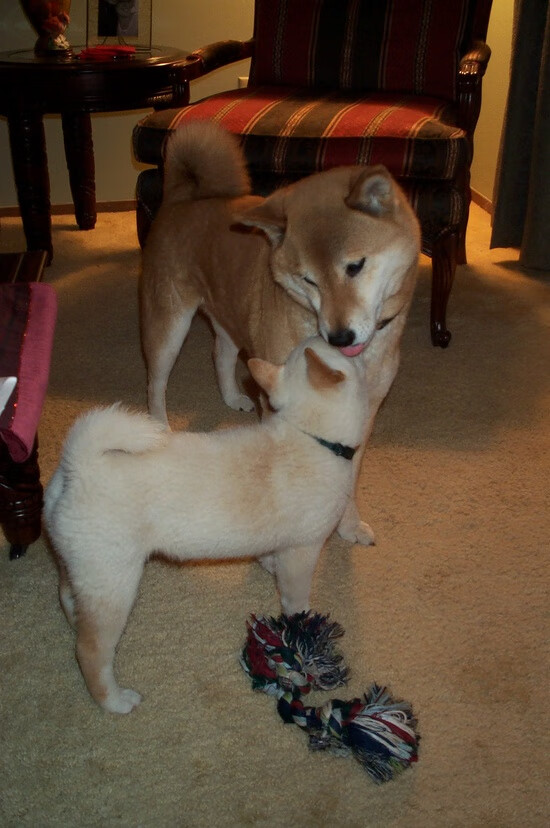 九游电脑版-全民健身项目融入社区生活，社区全民健身工作成效经验和做法