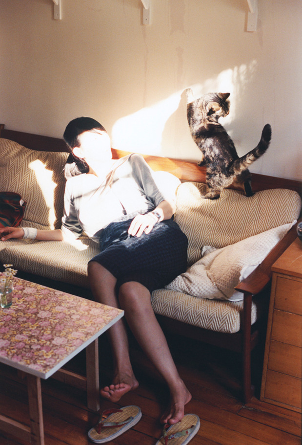 九游娱乐官网 (jiuyou)-女子蝶泳划频节奏变化曲线对比图，女子蝶泳100