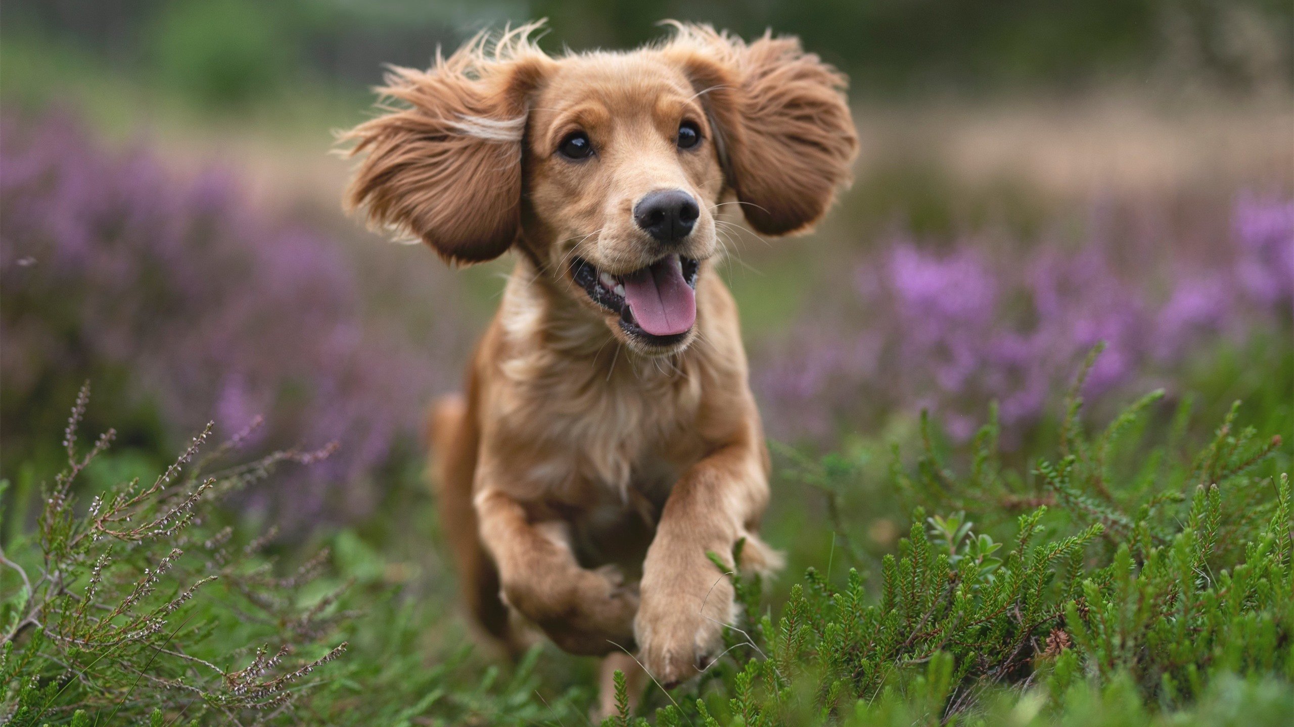 九游app官网下载-中国足球联赛明星球员形象宣传加强，足球名星中国