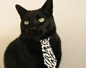 弗朗索瓦·霍尔茨豪伊泽：在攻防转换中展现极强的适应能力，弗雷德.霍伊尔