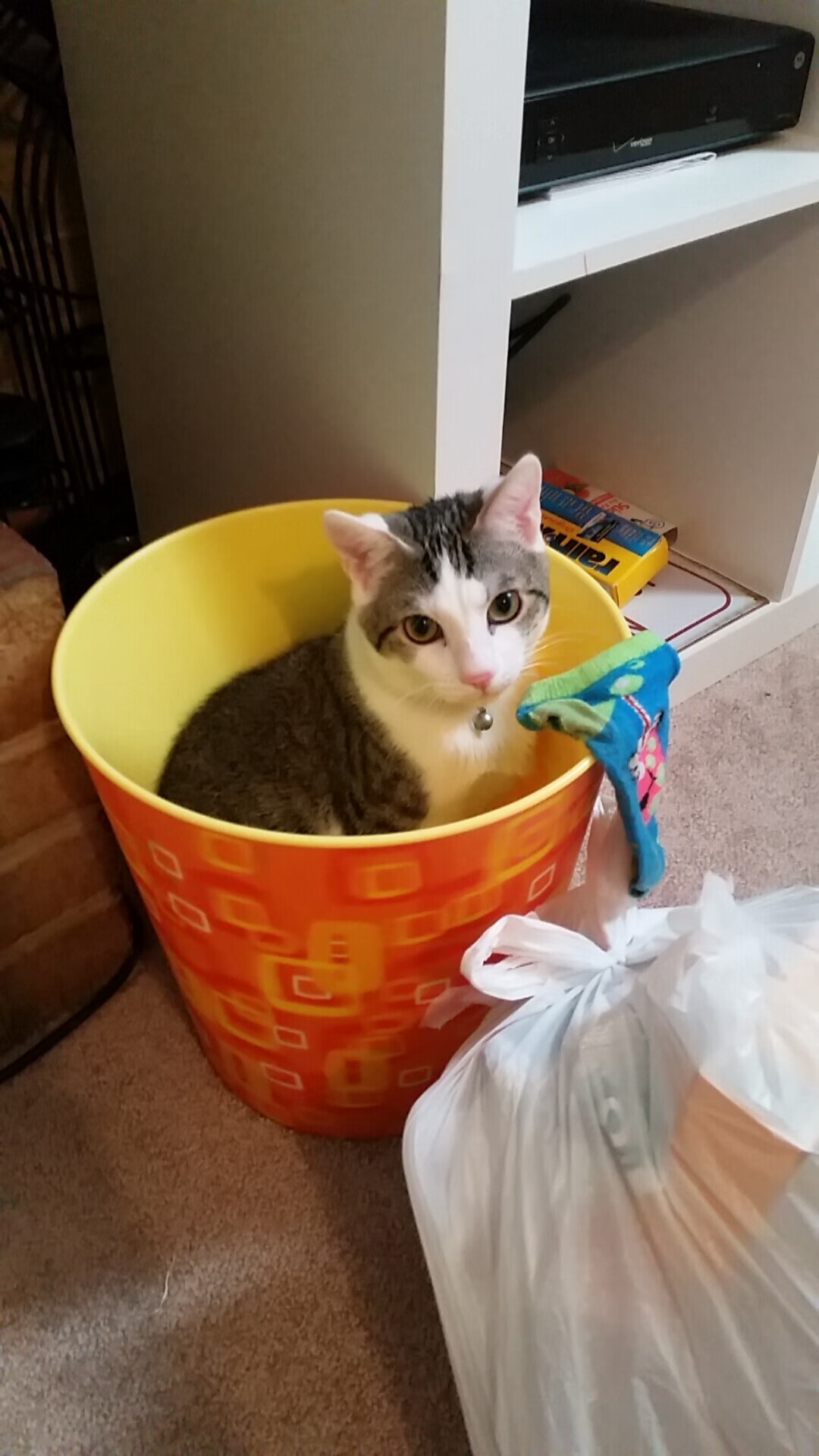 九游电脑版-恩里克带领西班牙队迎来复苏，晋级欧洲杯