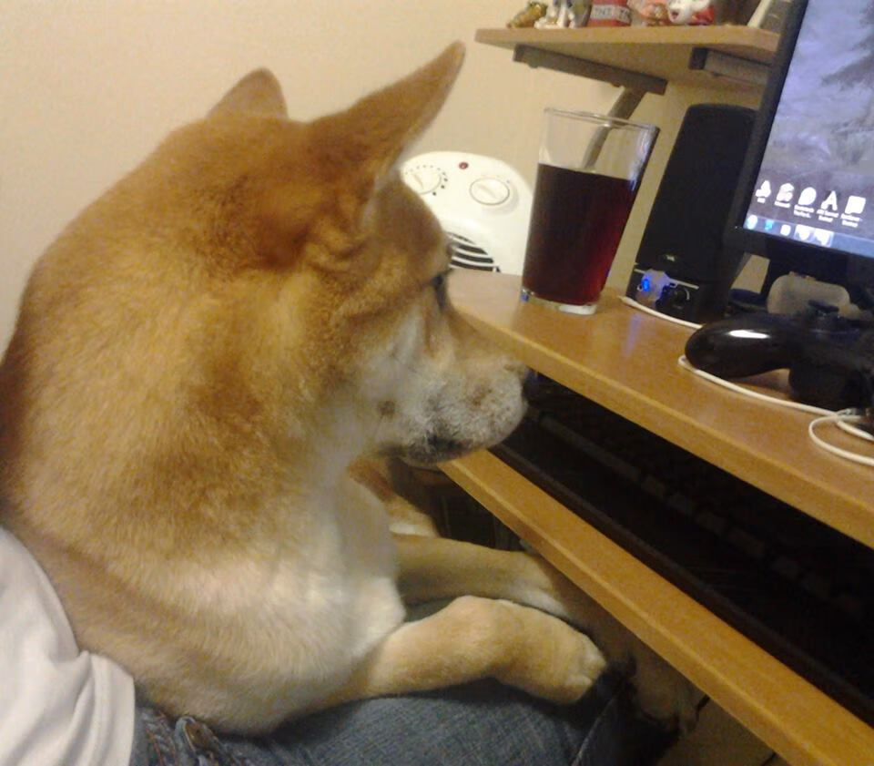 意甲激情四溢:攻防精彩瞬间不断涌现,意甲情怀