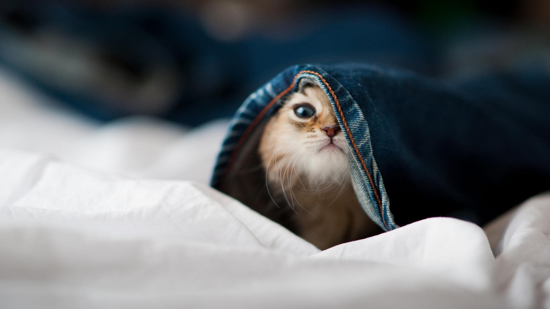 水球比赛吉尔吉斯斯坦女队拼搏精神可嘉，吉尔吉斯斯坦国家队