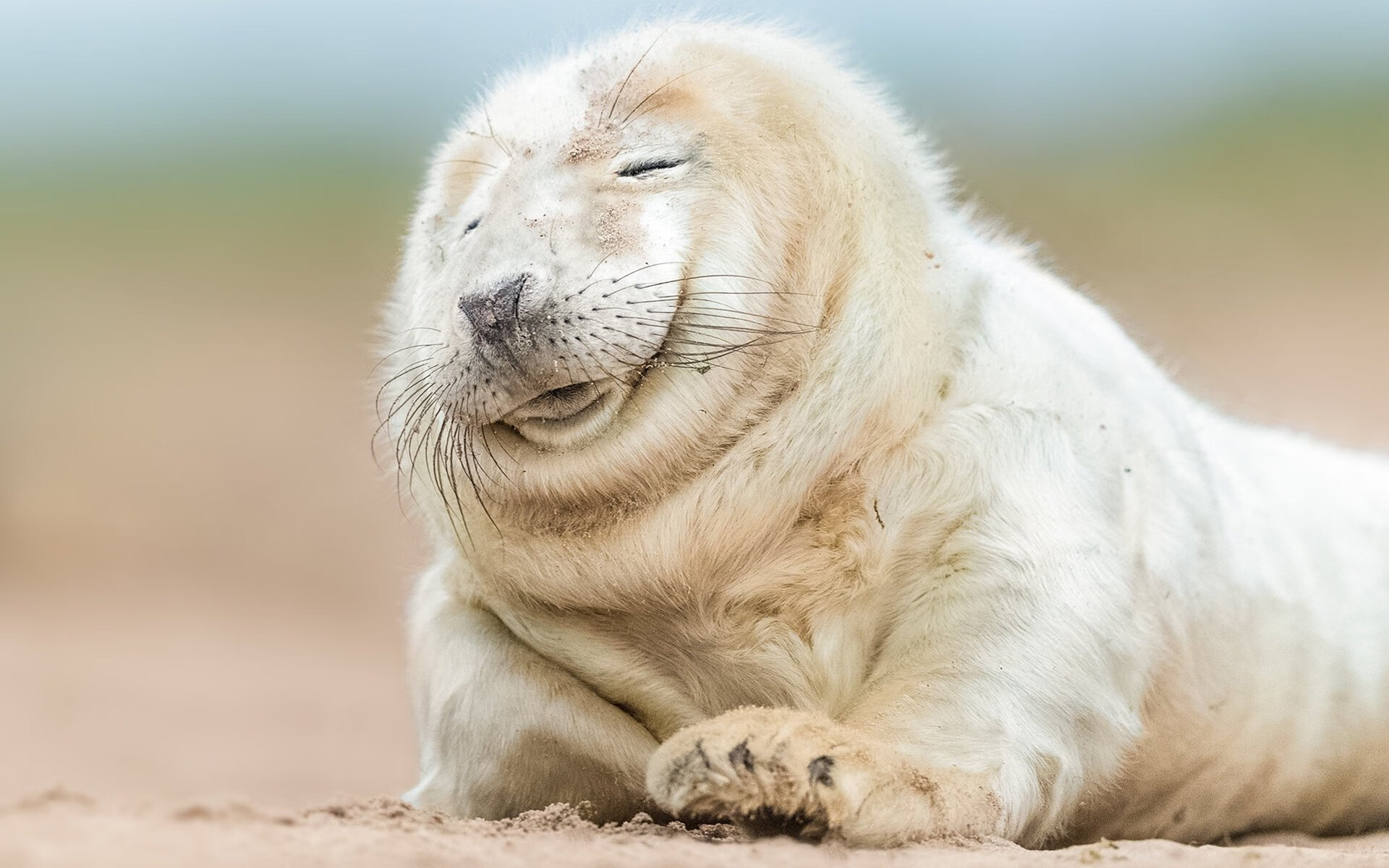 谢佩玲决赛精彩瞬间回顾,谢佩洪简历