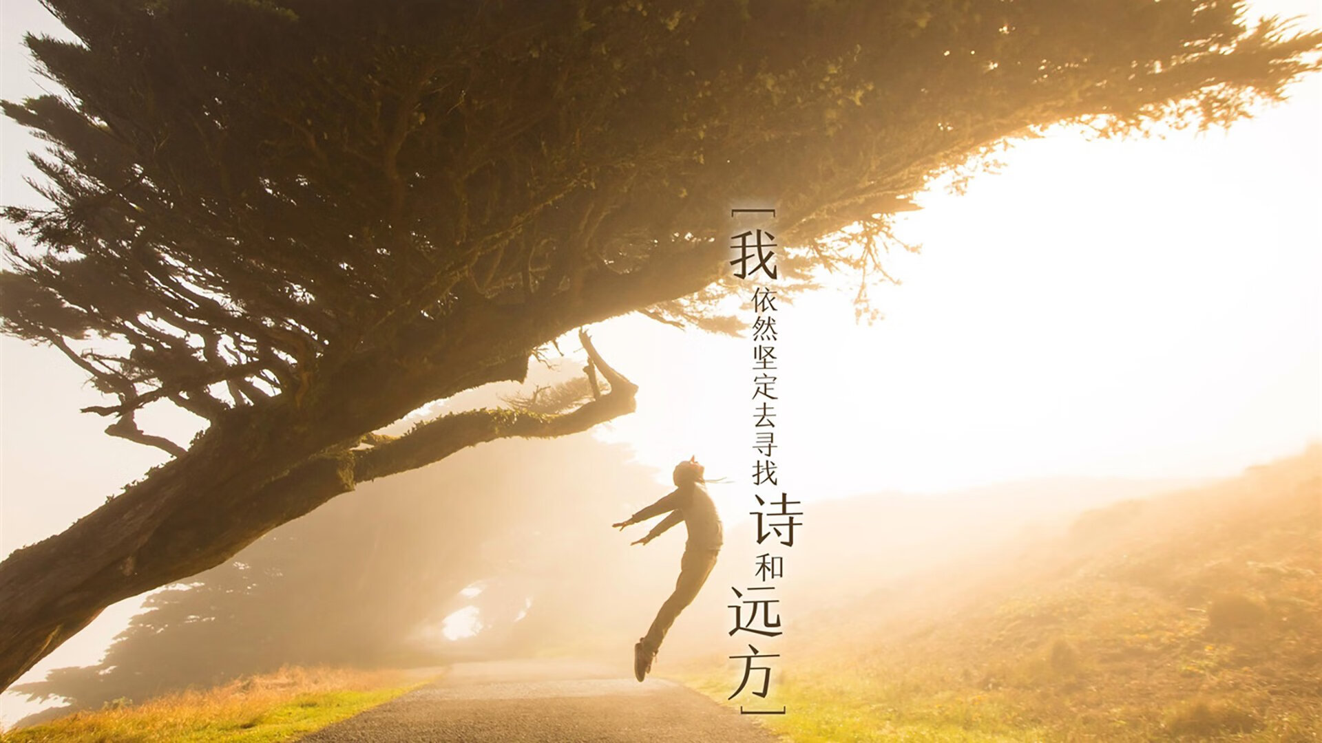 鹈鹕锋线组合训练中多次完成空接配合,鹈鹕 中锋